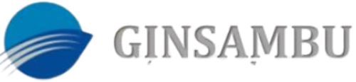 GINSAMBU – Consultoria e Fiscalidade